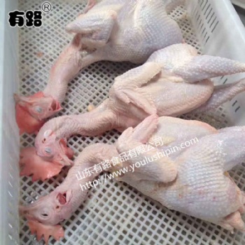 山東有路食品大量供應蛋雞白條