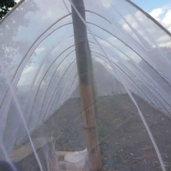茂倫牌養殖胡峰使用的紗網耐氧化的紗網可以拼接