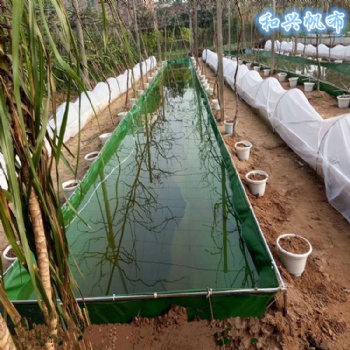 水產(chǎn)養(yǎng)殖帆布水池 養(yǎng)蝦帆布袋 南美白對(duì)蝦帆布水池