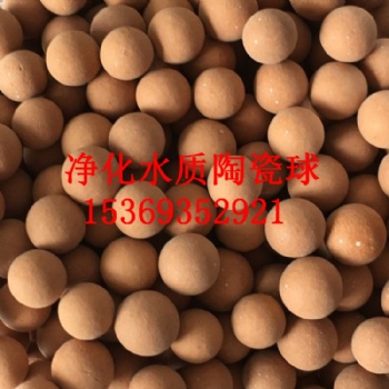 河北靈伍陶瓷球加工 過(guò)濾污水用麥飯石球 電氣石陶瓷球價(jià)格