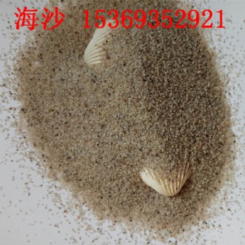 室內(nèi)沙坑用白沙子 小區(qū)戶外沙池白沙子 雪花白沙價格