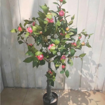 仿真茶花樹人造山茶花樹景區酒店商場裝飾假茶花樹茶花枝批發