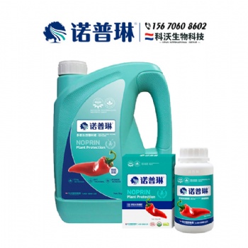 超天椒防治爛根爛苗長(zhǎng)勢(shì)旺就用諾普琳氨基酸肥