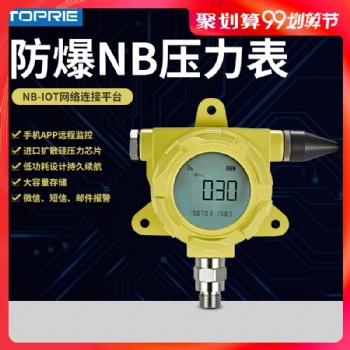 拓普瑞高精度NB-IOT無線溫度表TP2402V1.0-EX低功耗防爆溫度表