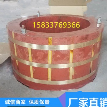 定做大電流異型非標(biāo)大直徑電機集電環(huán)