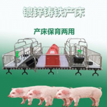 母豬產(chǎn)床廠家現(xiàn)貨供應(yīng)