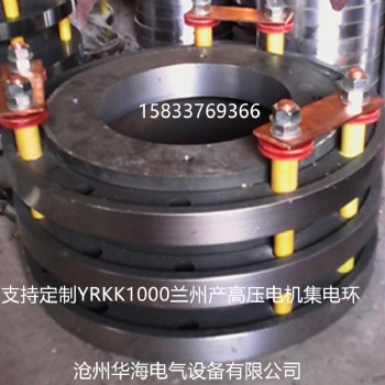 高壓電機集電環(huán) 蘭州電機廠產(chǎn)電機滑環(huán)YRKK1000-8