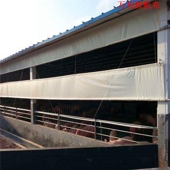 甘肅大型養(yǎng)殖場(chǎng)卷簾布定做廠家 牛場(chǎng)卷簾布 羊場(chǎng)卷簾布 豬場(chǎng)卷簾布圖庫
