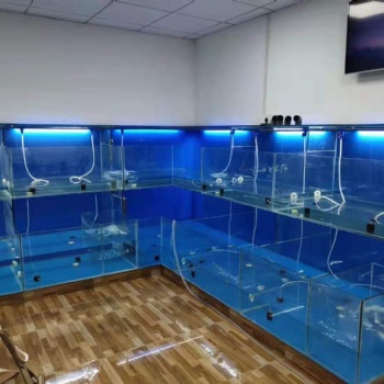 廣州花都小型新型海鮮魚缸安裝價格 花都專業(yè)海鮮池定做