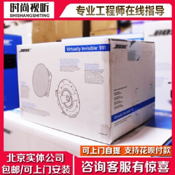 BOSE/博士 591天花隱藏式揚聲器 家庭背景音樂 吊頂吸頂音箱
