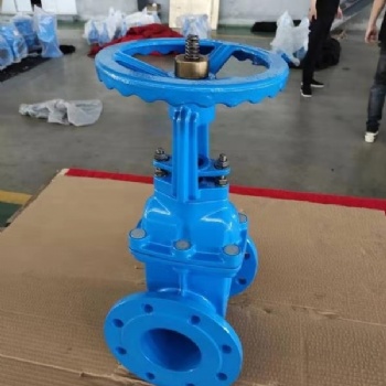 上海埃庫斯Z41X明桿彈性座封閘閥
