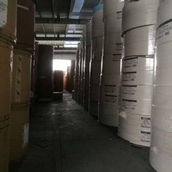 進口食品級白卡紙 單面淋膜白卡紙 口杯原紙