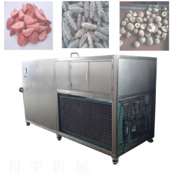 地瓜葉冷凍干燥機 金銀花真空凍干機 香菜凍干設備 蘑菇凍干機器
