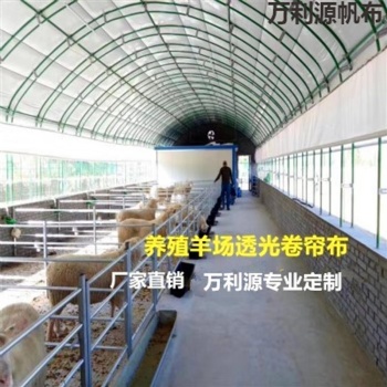 大型擋風(fēng)牛場(chǎng)卷簾布廠家/銷售大型防風(fēng)羊場(chǎng)卷簾布/定做豬場(chǎng)卷簾保溫布