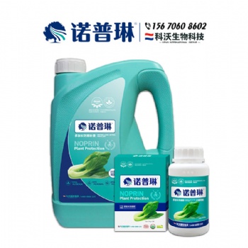 水咸菜長得植株強壯 葉片肥厚就用諾普氨基酸肥
