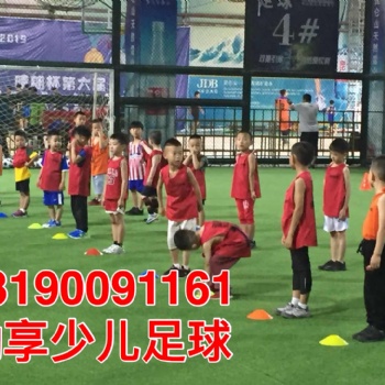 沈陽動享體育本地少兒足球青訓機構