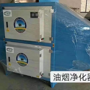 廢氣處理設備環(huán)保箱廢氣凈化器