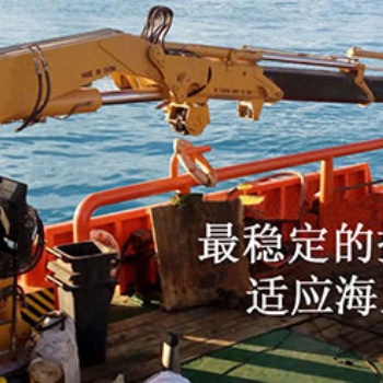 出口直臂折疊臂船上吊機 固定式克令吊 1-25噸液壓船用吊廠家
