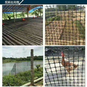 河北云翔家禽動物養殖網廠家結實耐用發貨方便