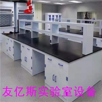 通風(fēng)型PP藥品柜.通風(fēng)柜.實(shí)驗(yàn)臺(tái)