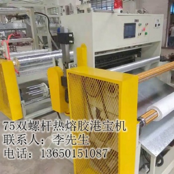 港寶設備，港寶膠片機，鞋材港寶機，雙螺桿港寶機