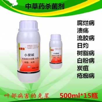 桃樹穿孔病區分和用藥 小檗堿靚果安奧豐廠家直供