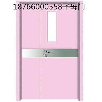 各醫用不銹鋼子母門公司大量定制