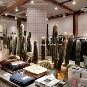定制室內沙漠仙人掌組合景觀設計工程量天尺 咖啡店衣服店大戟閣