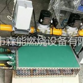 上海天時(shí)燃燒機(jī)RAH系列線形比例式直燃熱風(fēng)天然氣燃燒器