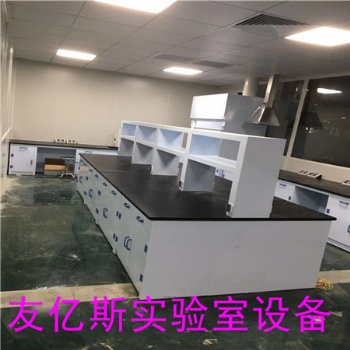 定做實(shí)驗(yàn)室中央臺(tái).實(shí)芯理化板實(shí)驗(yàn)桌.簡易型實(shí)驗(yàn)臺(tái)廠家
