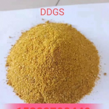 石家莊廠家供應(yīng)玉米酒精糟DDGS