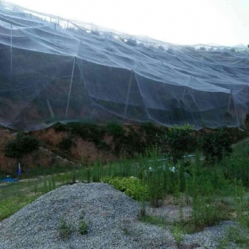 安平茂倫紗網廠家批發臍橙防蟲網