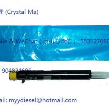 配套的德爾福噴油器 EJBR04101D,EJBR02101Z
