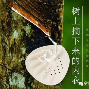 尖瘦餅干全國(guó)招合作伙伴