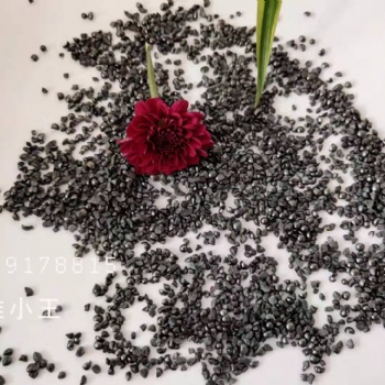嵩淮鋼丸鋼砂鋼絲切丸