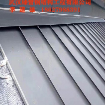 井岡山 不是所有的金屬屋面 系統(tǒng)叫做 武漢臻譽(yù)