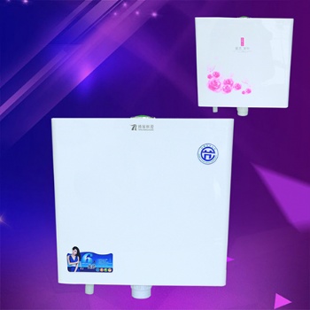 抽水馬桶沖廁所水箱 便池蹲坑蹲便器 家用衛(wèi)生間節(jié)沖水器雙按大沖力