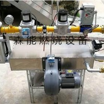 正英燃燒機DCM系列管道內置式燃氣燃燒器DCM30天然氣燃燒機