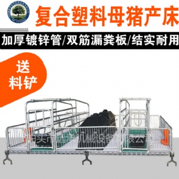 廠家母豬產床雙體母豬產床塑料板產床結實耐用組裝簡單