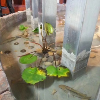 有機(jī)無(wú)機(jī)雜化防水建筑材料