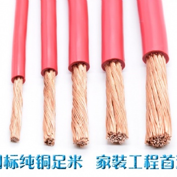 通寶電纜ZC-BVR