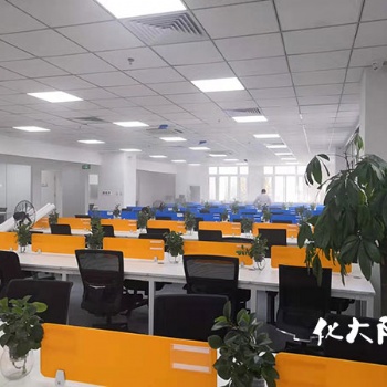 專業(yè)辦公室除甲醛化大陽光除甲醛公司