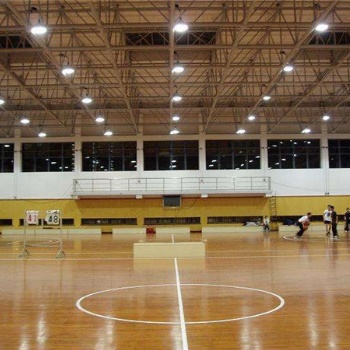 室內(nèi)籃球館木地板 羽毛球館地板廠家供應(yīng)