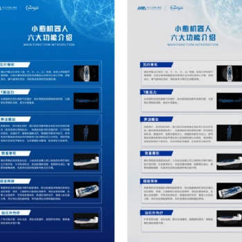 S303PR小愈機器人智能抗壓