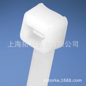 PANDUIT尼龍6.6線束扎帶 PLT1M-M, PLT2S-M