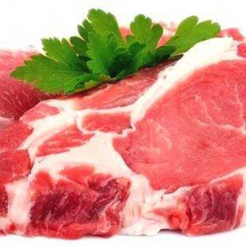 霍爾果斯牛肉進口快速通關