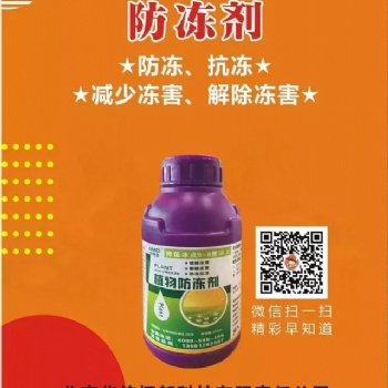 鑫科植保批發供應植物防凍液 冬季植物防凍液 500g瓶裝防凍劑