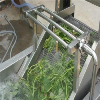 廠家全自動生菜氣泡清洗機(jī) 俞洋機(jī)械