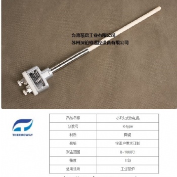 小T頭式熱電偶K型Thermoway