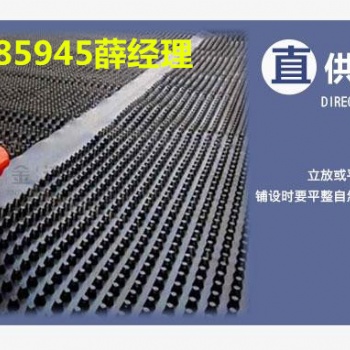 銅陵8mm厚1公分車庫HDPE排水板